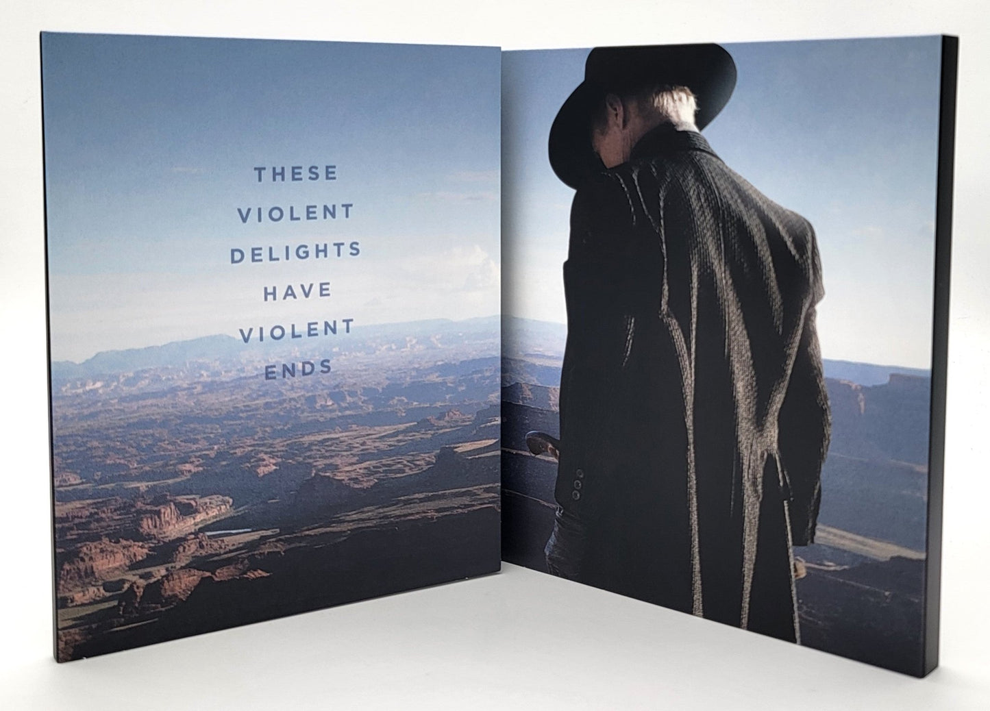 Warner Brothers - Westworld - Season one: The Maze | Blu Ray | Complete season - Blu-ray - Steady Bunny Shop