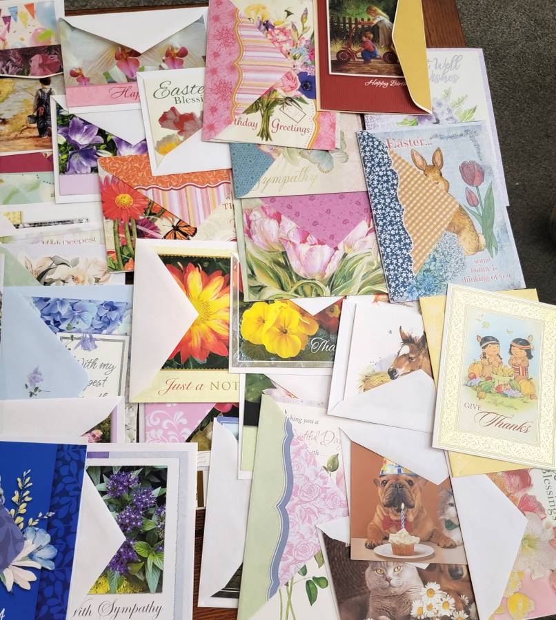 Steady Bunny Shop - Assorted Greeting Cards And Stickers | Over 100 - Greeting Cards - Steady Bunny Shop