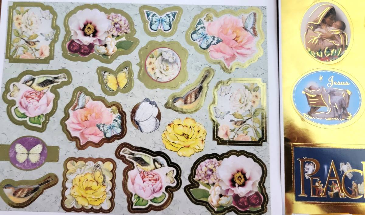 Steady Bunny Shop - Assorted Greeting Cards And Stickers | Over 100 - Greeting Cards - Steady Bunny Shop
