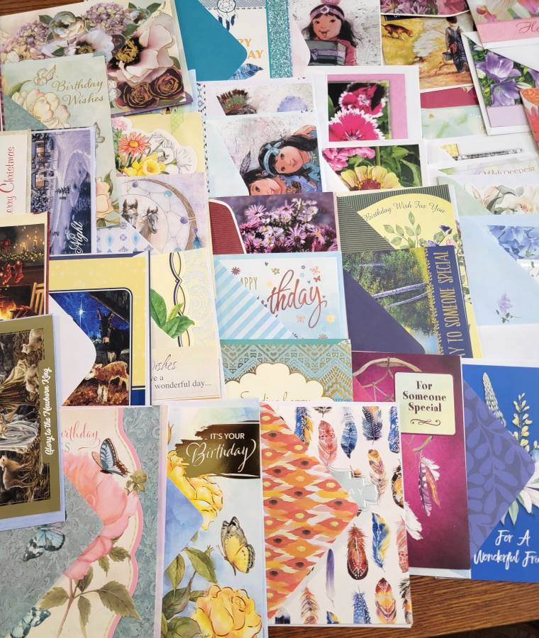 Steady Bunny Shop - Assorted Greeting Cards And Stickers | Over 100 - Greeting Cards - Steady Bunny Shop
