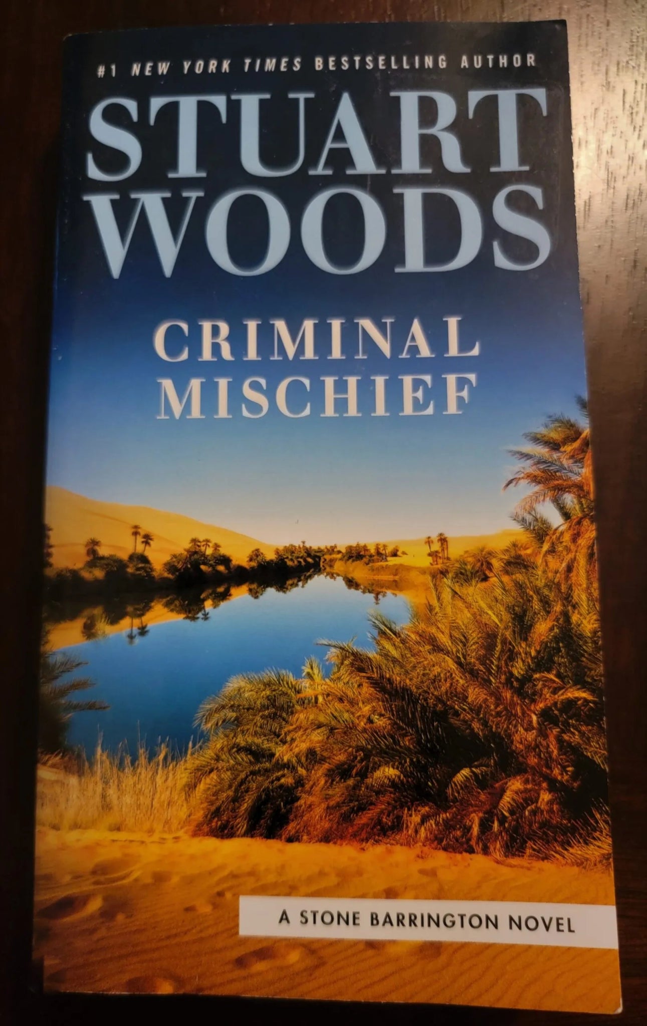 Steady Bunny Shop - Criminal Mischief - Stuart Woods - Paperback Book - Steady Bunny Shop