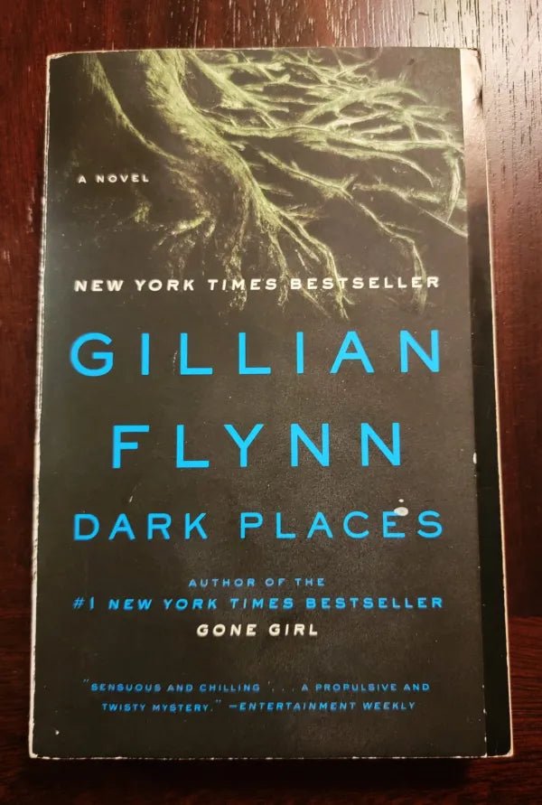 Steady Bunny Shop - Dark Places - Gillian Flynn - Paperback Book - Steady Bunny Shop