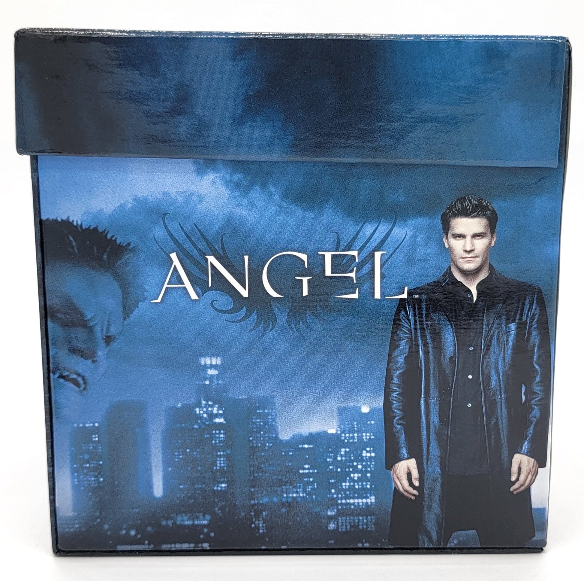 Sony Pictures Home Entertainment - Angel - Season 1 - 5 Complete Set / DVD - 30 Disk Set - Limited Edition - DVD - Steady Bunny Shop