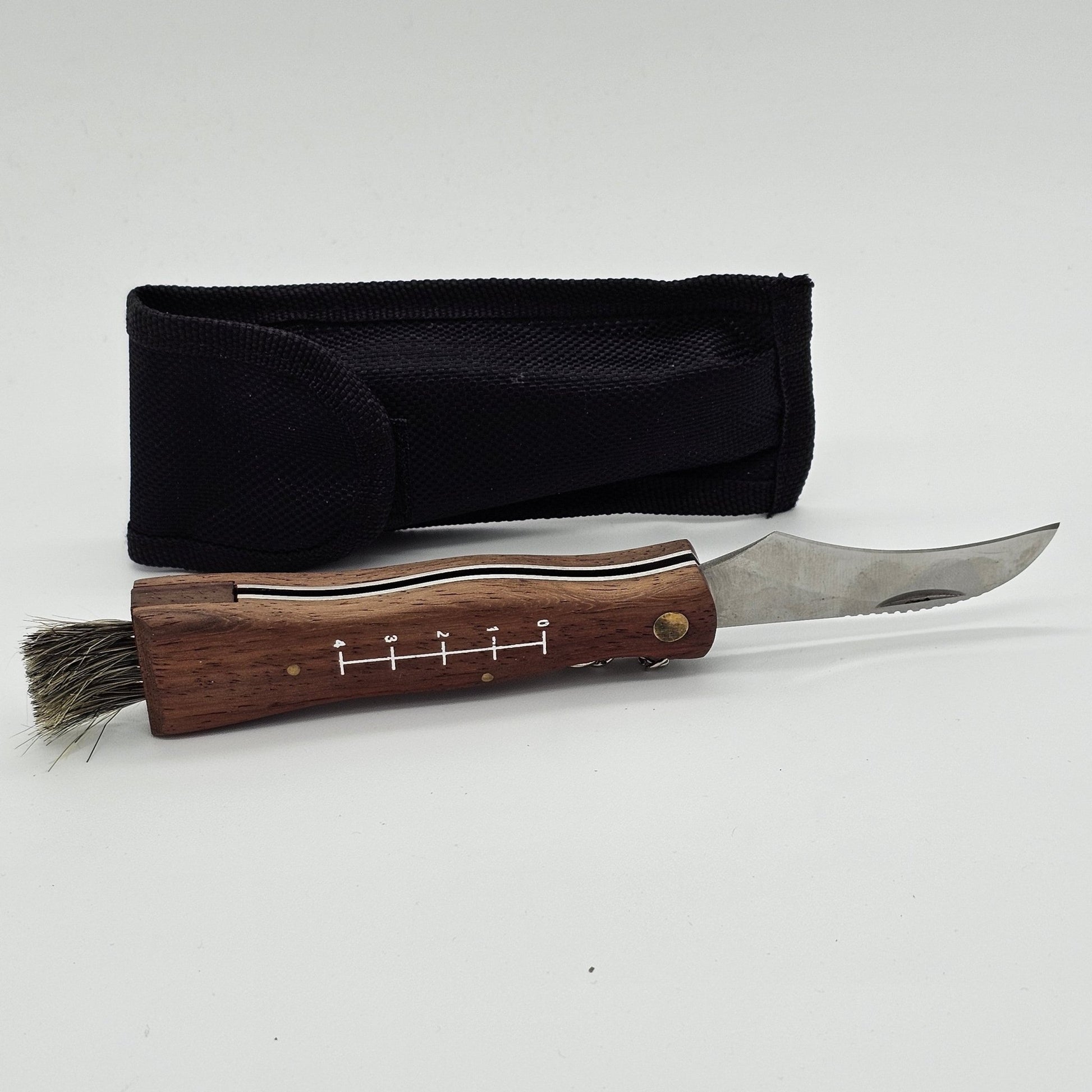 Steady Bunny Shop - Morel Mushroom Hunters Knife | Folding Knife - Knife - Steady Bunny Shop