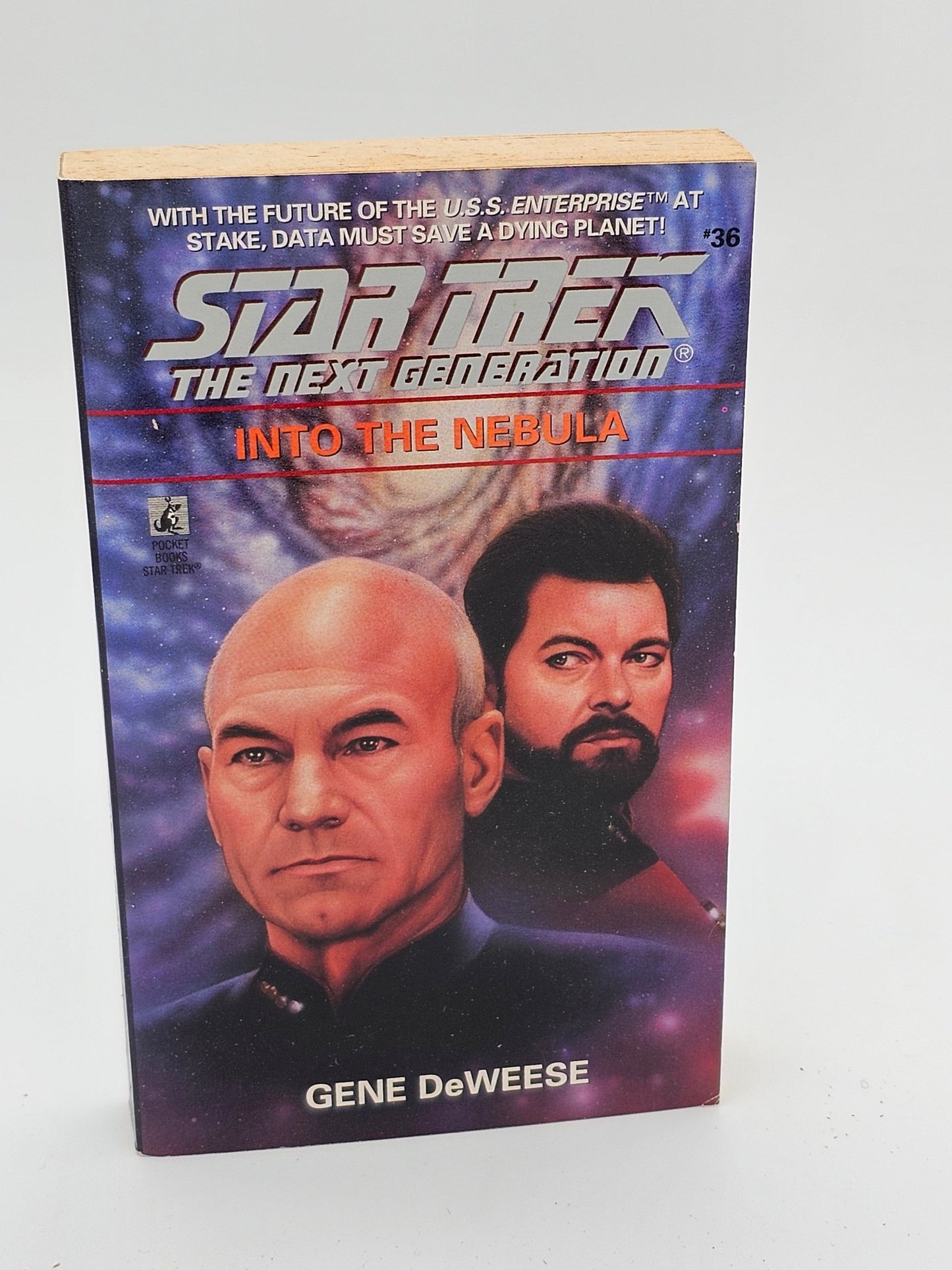 Pocket Books - Star Trek The Next Generation | Into The Nebula | Gene DeWeese | Paperback Book - Paperback Book - Steady Bunny Shop