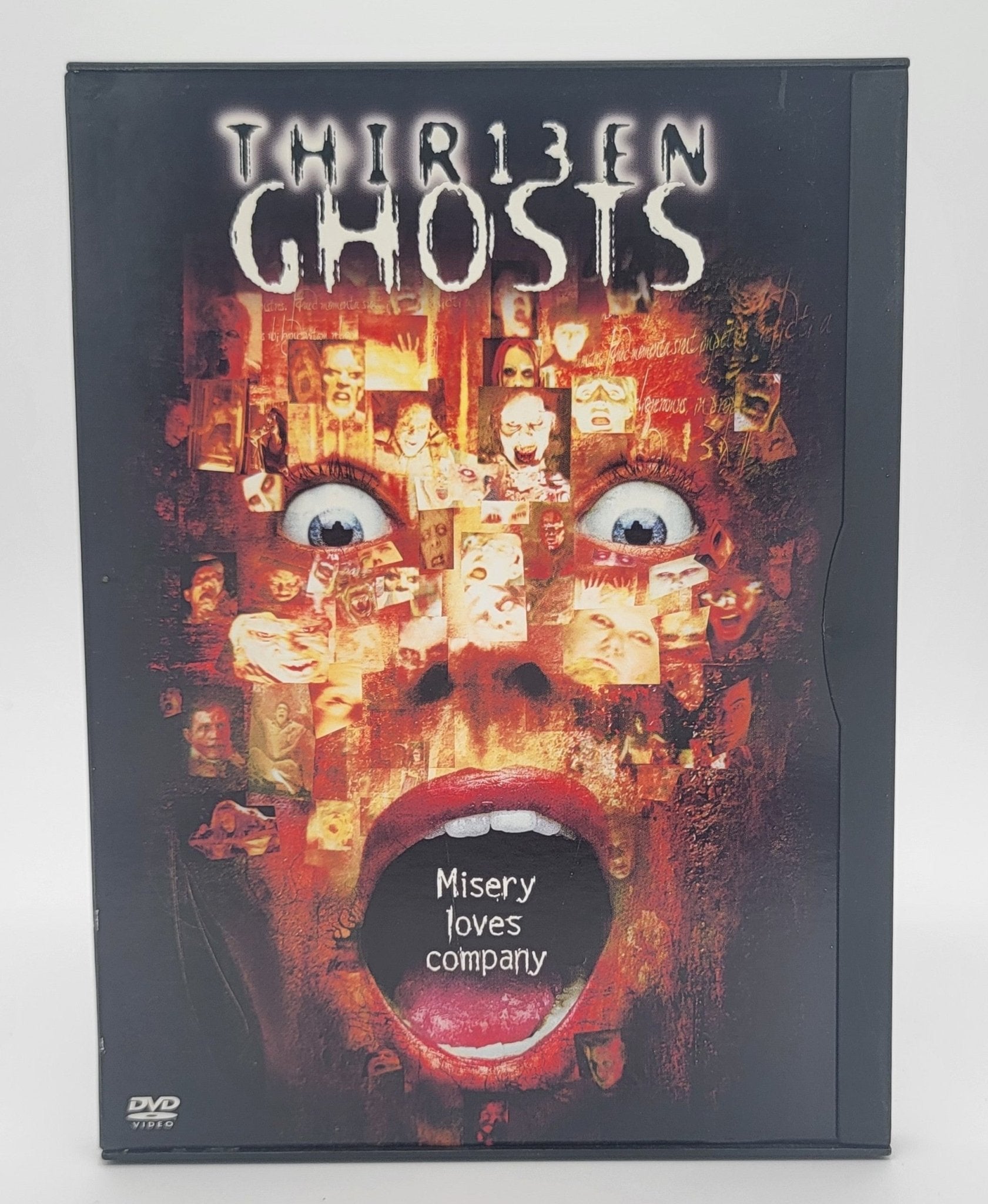 Warner Brothers - Thirteen Ghosts 2001 | DVD | Widescreen - DVD - Steady Bunny Shop