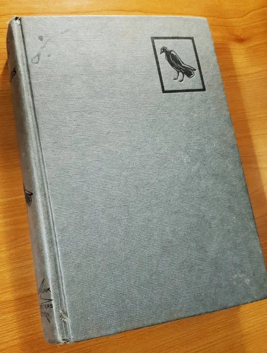 Platt & Munk - Edgar Allan Poe Stories - Edgar Allan Poe - Hardcover Book - Steady Bunny Shop