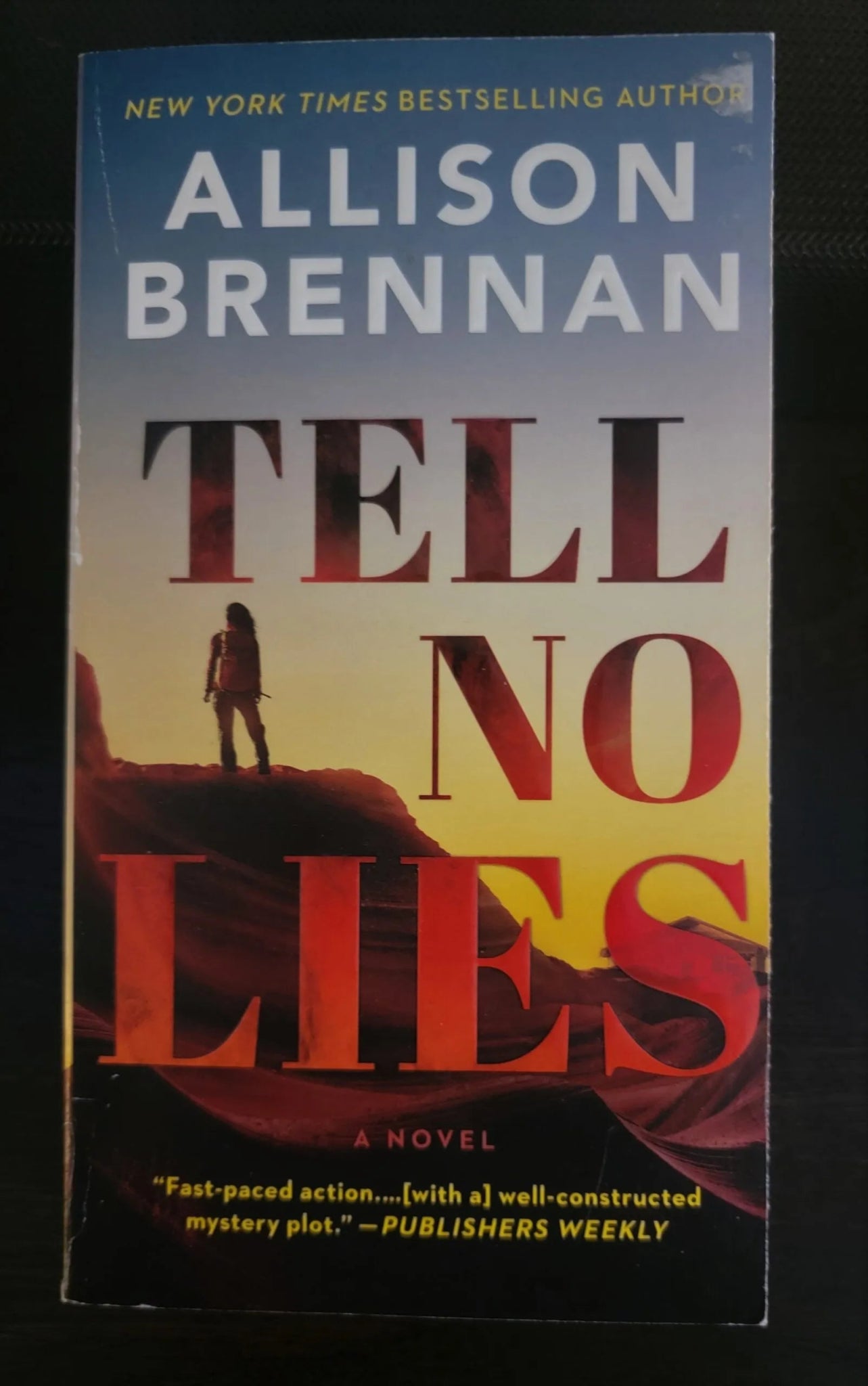 Steady Bunny Shop - Tell No Lies - Allison Brennan - Paperback Book - Steady Bunny Shop