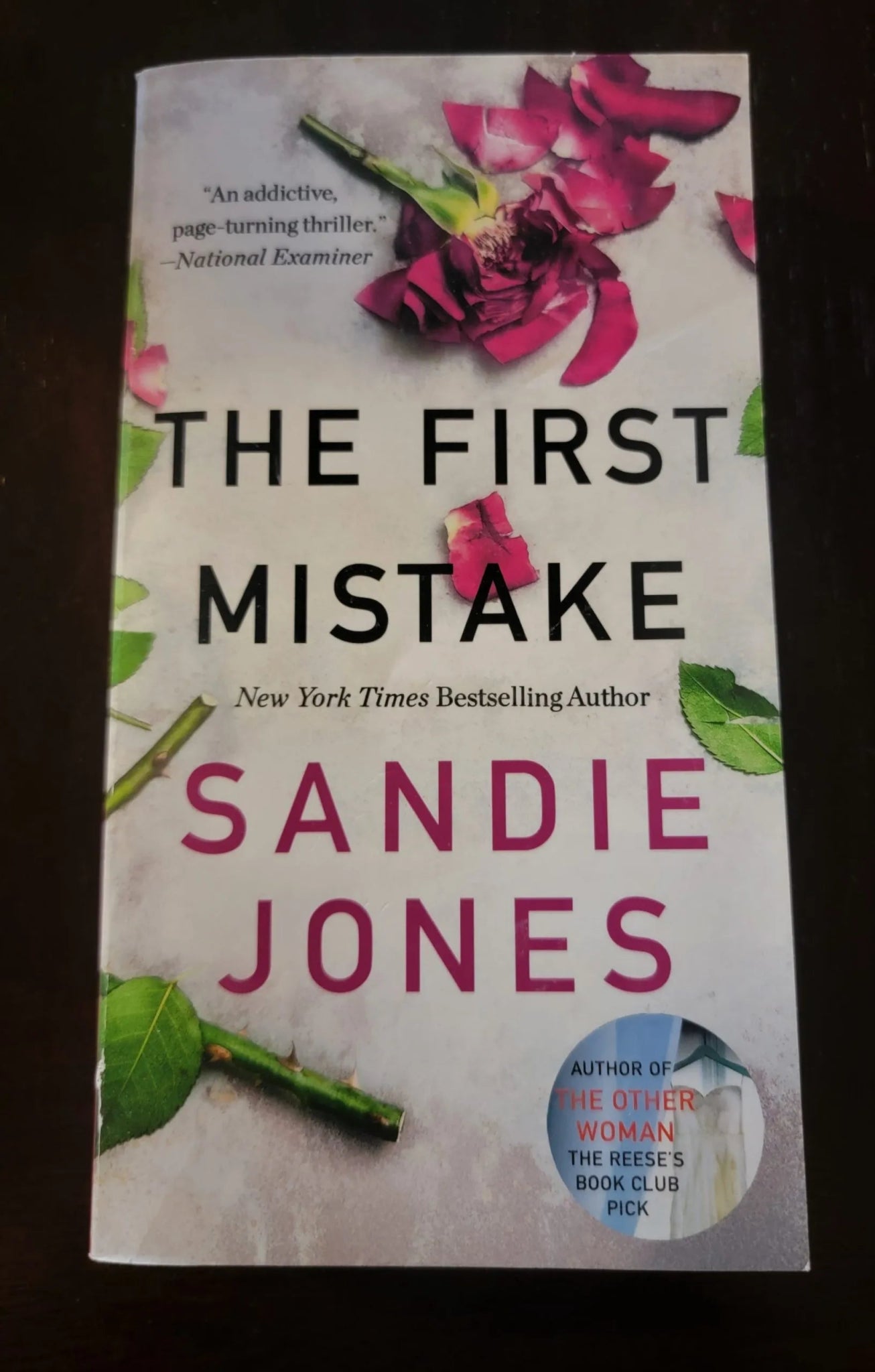 Steady Bunny Shop - The First Mistake - Sandi Jones - Paperback Book - Steady Bunny Shop