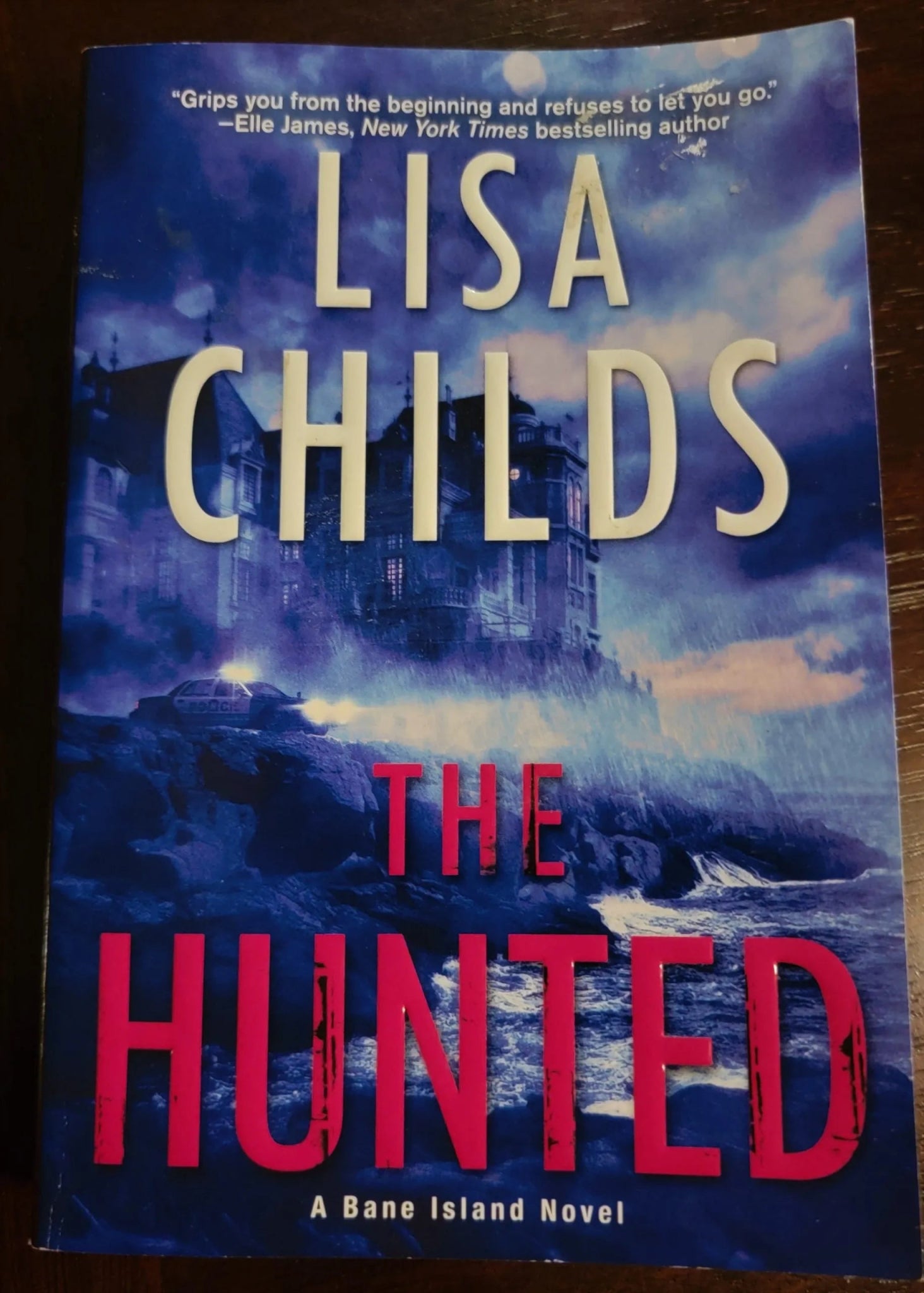 Steady Bunny Shop - The Hunted - Lisa Childs - Paperback Book - Steady Bunny Shop